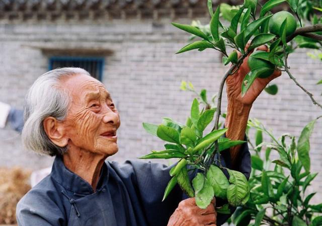 長(zhǎng)壽的人有哪些特點(diǎn)？年紀(jì)大了如何養(yǎng)生？